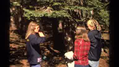 Lake Tahoe California USA (1978): A Group Of Women Having A Conversation By A Tree