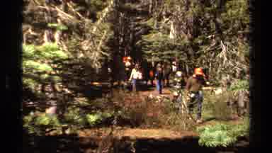 Lake Tahoe California USA (1978): People With Their Families Camping In The Woods