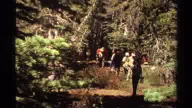 Lake Tahoe California USA (1978): A Group Of Friends Hikes Through The Woods