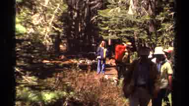 Lake Tahoe California USA-1978: Excursion And Adventure Among Friends Through Forest