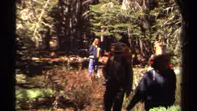 Lake Tahoe California USA (1978): People Roaming In A Calm Forest Enjoying Nature