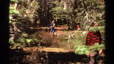 Lake Tahoe California USA (1978): Hikers Enjoying A Refreshing Trail Walk In The