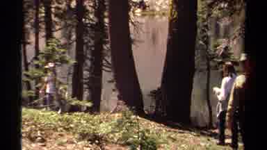 Lake Tahoe California USA (1978): People Walking In The Woods
