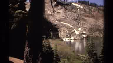 Lake Tahoe California USA (1978): Yellow Flower Green Grass Color Fresh Air Water