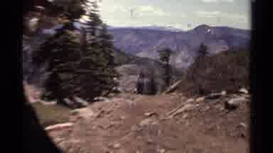 Lake Tahoe California USA (1978): Purple Flowers Then A Girl Walking Up A Mountain