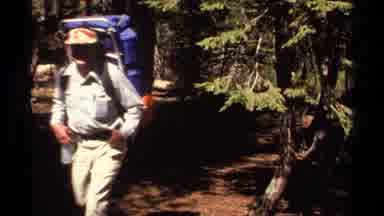 Lake Tahoe California USA (1978): People Hiking In The Woods Between The Trees