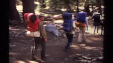 Lake Tahoe California USA (1978): Nature Walk With The Kids From My Hut This Year