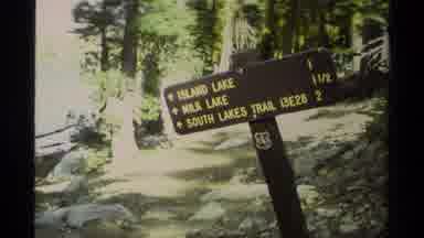 Lake Tahoe California USA (1978): Clueless Hopeful Dad Takes Reluctant Family