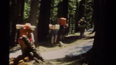 Lake Tahoe California USA (1978): Group Of People Waking Through The Trails In