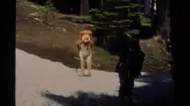 Lake Tahoe California USA (1978): Two People Hiking And Walking Though Trails And