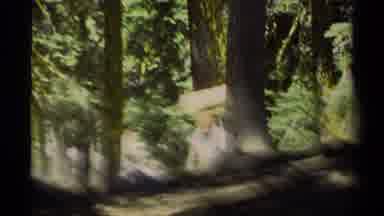 Lake Tahoe California USA-1978: Man Hiking Through The Mountains Uphill In A Forest