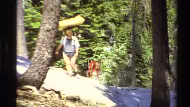 Lake Tahoe California USA (1978): Two Views Hikers Hiking In The Forest And A View
