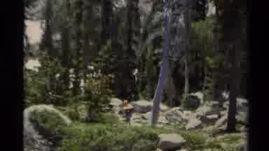Lake Tahoe California USA (1978): People Explore A Campsite Of Beautiful Trees And
