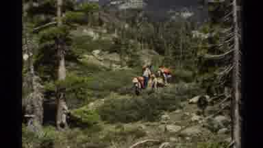 Lake Tahoe California USA (1978): People Hiking In A Mountainous Woody Landscape