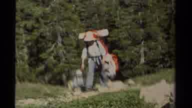 Lake Tahoe California USA (1978): A Group Of Hikers Hiking In The Forest