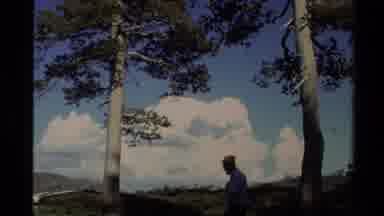 Lake Tahoe California USA (1978): Cloudy Sky In The Wilderness