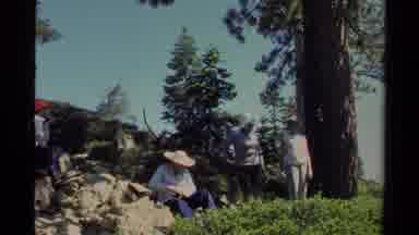 Lake Tahoe California USA (1978): A View Of People Camping In The Wilderness