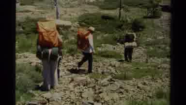 Lake Tahoe California USA (1978): Big Group Of Hikers Carry Packs Into The Woods