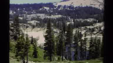 Lake Tahoe California USA (1978): View Of Large Snowy Forest And Then One Of It's