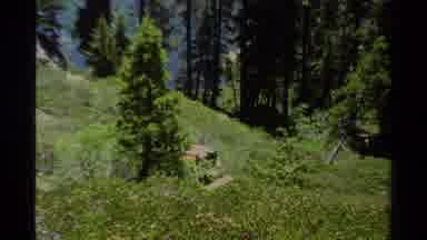Lake Tahoe California USA (1978): A Walk Through The Grassy Hillside Trail With