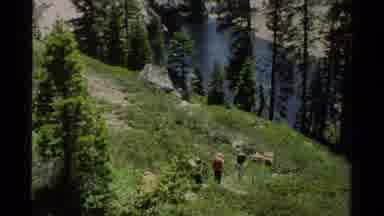 Lake Tahoe California USA (1978): Two Scenes One Of Pretty Colored Flowers Second