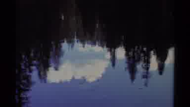 Lake Tahoe California USA (1978): Reflections Of Trees
