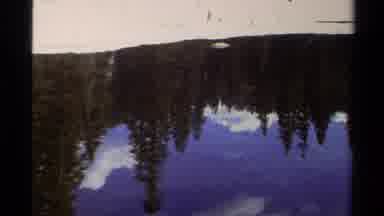 Lake Tahoe California USA (1978): Zooming Frame Of Evergreen Trees And Clouds