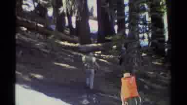 Lake Tahoe California USA (1978): Hiking In The Woods With Family And Friends With