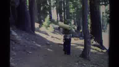 Lake Tahoe California USA (1978): Man Is Carrying A Large Pack Hiking Through The