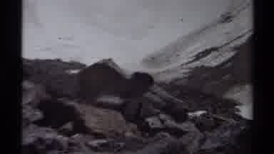 British Columbia Canada (1979): A Bear Walking Around And Making Itself