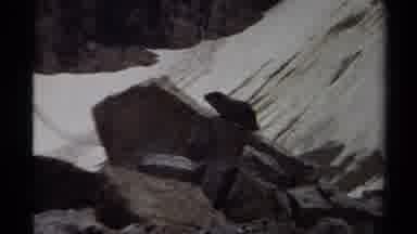 British Columbia Canada (1979): A Creature On A Rock Watching Something In Nature