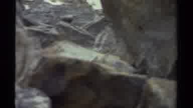 British Columbia Canada (1979): Cute Animal Runs Up A Clean Pile Of Rocks After