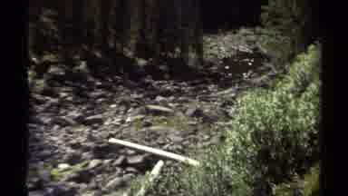 British Columbia Canada (1979): Mountain Landscape With Trees And Rocks