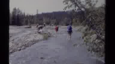 British Columbia Canada (1979): A Group Of Backpacking Hikers Traveling Along A