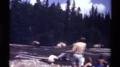 British Columbia Canada (1979): People Having Bath In A River While Animals Pass