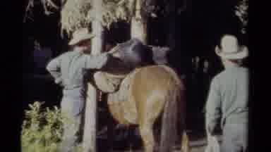 British Columbia Canada-1979: Preparing To Enjoy The Joys Of Nature At Willow Creek