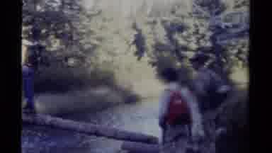 British Columbia Canada (1979): Hikes Walking In The Forest Crossing A Log