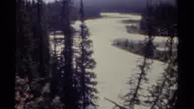 British Columbia Canada (1979): A View Of A Poplar Creek Surrounded By High