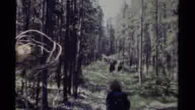 British Columbia Canada (1979): View Of Man Riding A Horse Then A Shot Of Many
