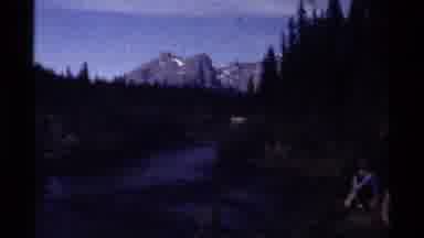 British Columbia Canada (1979): Horses Amid Nature
