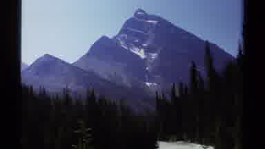 British Columbia Canada (1979): A Scenic Are Of Flowers Mountains And Pine Trees