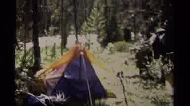 British Columbia Canada (1979): View Of A Campsite Set Up In A Forest On A Sunny