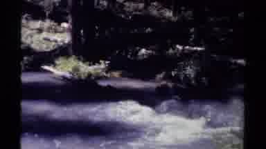 BRITISH COLUMBIA CANADA-1979: Two Friends Take A Hike Next A Picturesque Stream