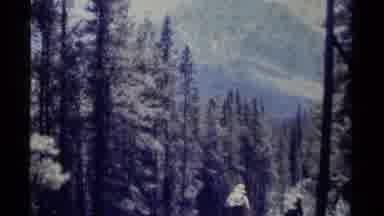 British Columbia Canada (1979): Family Hiking Near Great Tall Green Forest Tree