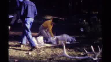 British Columbia Canada (1979): My Friends Working In A Little Farm In A Sunny Day
