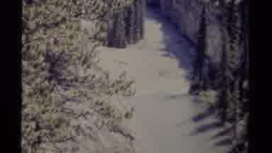 British Columbia Canada (1979): Magical And Peaceful Snow Covered Trail Nestled