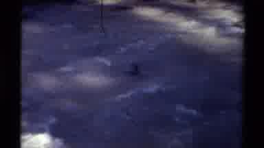 British Columbia Canada (1979): Small Duck Flowing Down Rapid River And 3