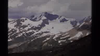 British Columbia Canada (1979): Large Spiders Run Between The Rocks In The