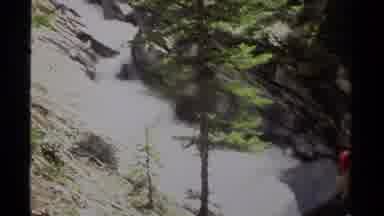 British Columbia Canada (1979): Women Goes Hiking On Forest Trail Crossing A Wood