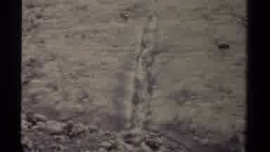 British Columbia Canada (1979): Mountains And Water Rushing Down The Side Of